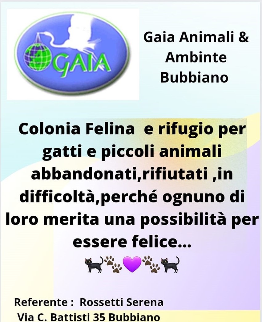 gaia bubbiano 600299924_1160168789623428_3182511679681245928_n - copia